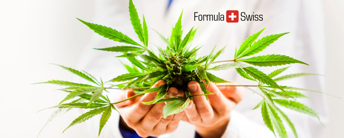 EU adds Cannabis Sativa Root Extract to CosIng database