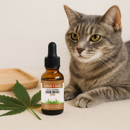 Huile de CBD pour le poulet pour chats
